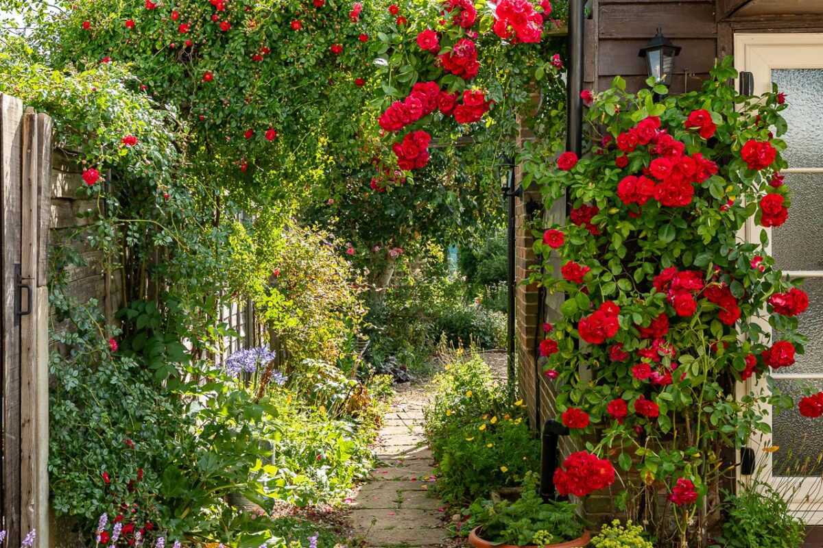 Hare Street, Buntingford