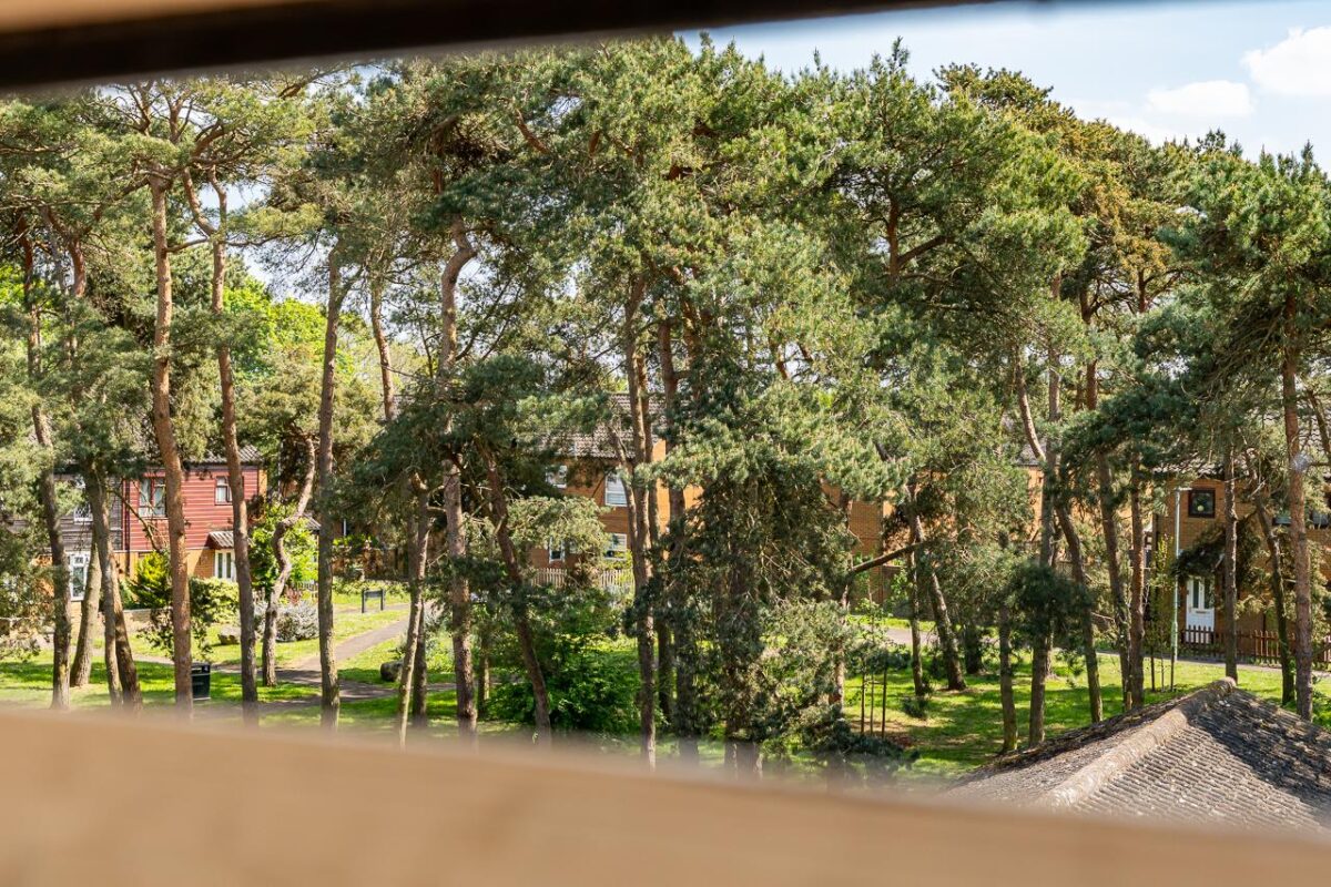 Eagle Court, Hertford