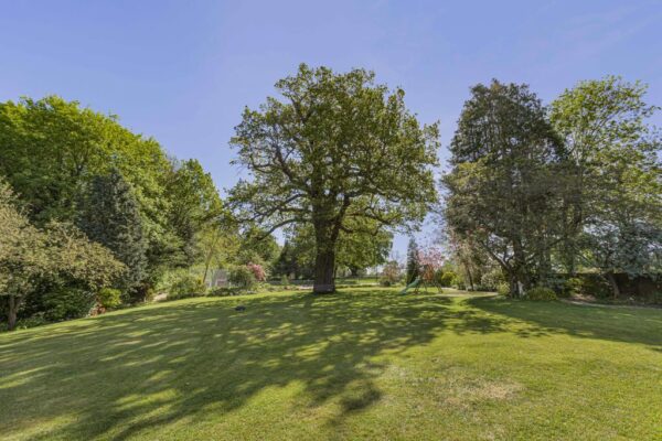 Ware Park, Ware