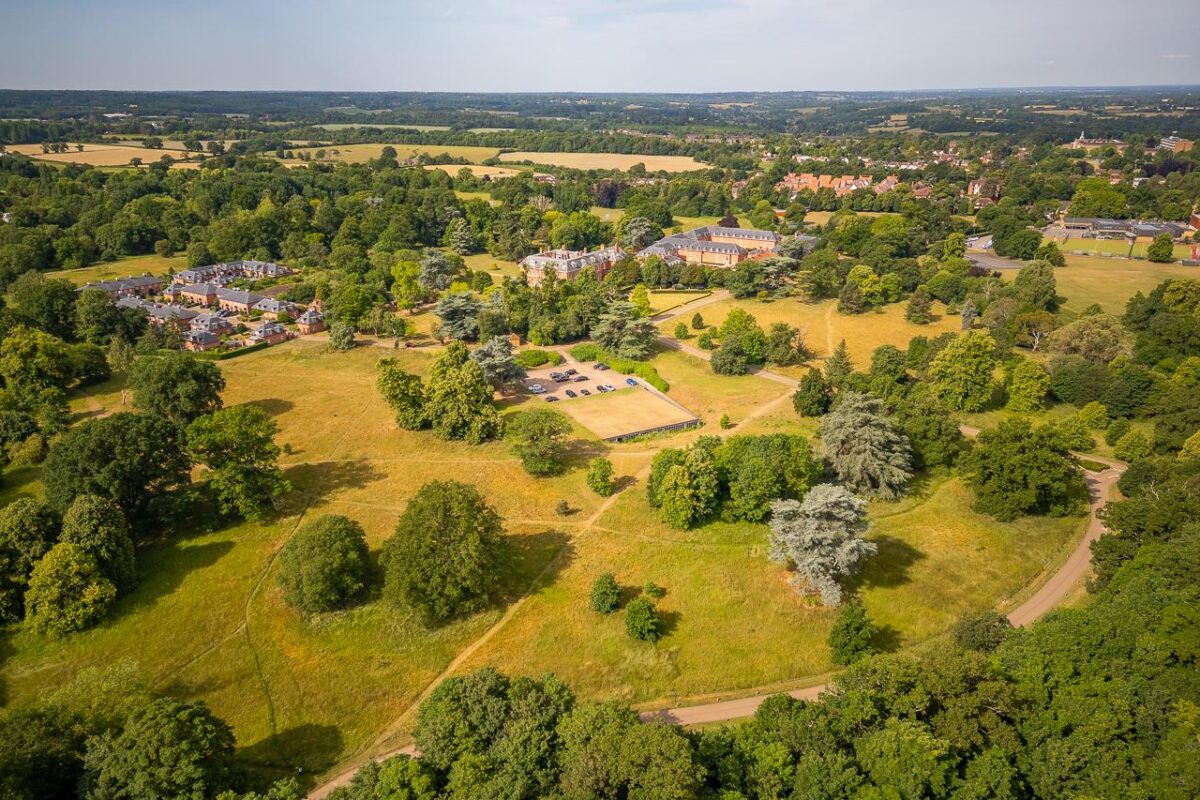 Willis Grove, Balls Park, Hertford