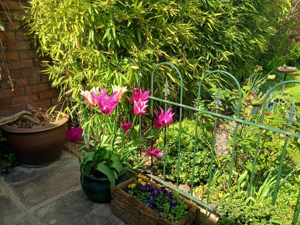 Brickendon Lane, Brickendon, Hertford