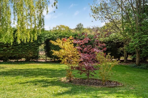 Hadham Mill Cottages, Widford Road, Much Hadham