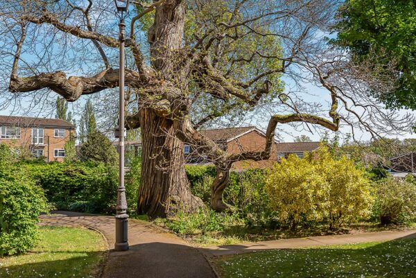 Bengeo mews, Hertford