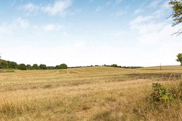 Sacombe Green Road, Sacombe, SG12