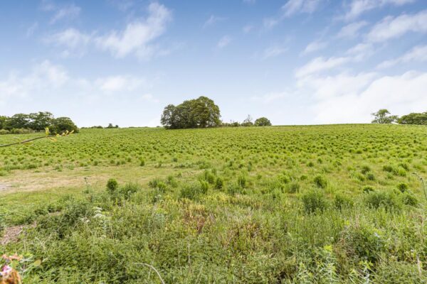 Cappell Lane, Stanstead Abbotts, Ware