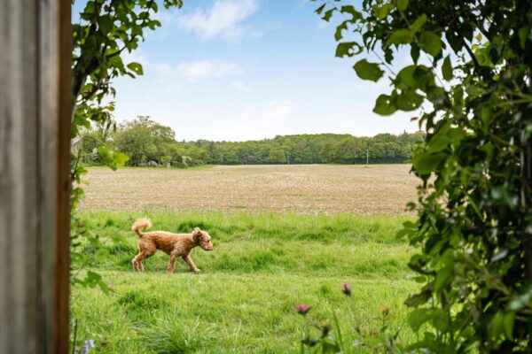 Winding Shott, Bramfield, Hertford