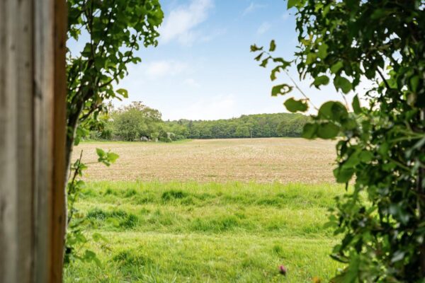 Winding Shott, Bramfield, Hertford