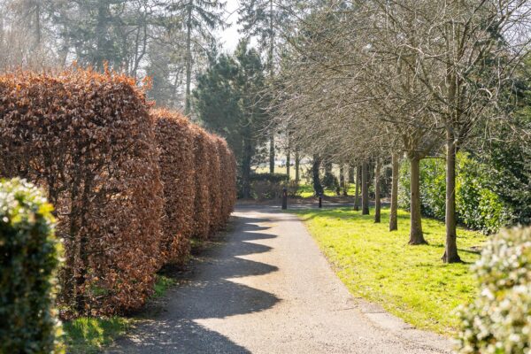 Goldings Lane, Waterford, SG14