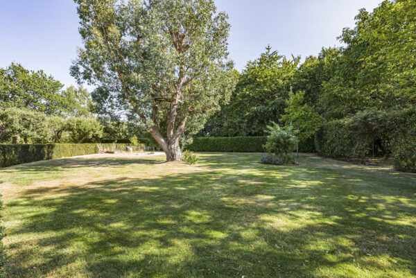 Hanging Wood, Standon, SG11