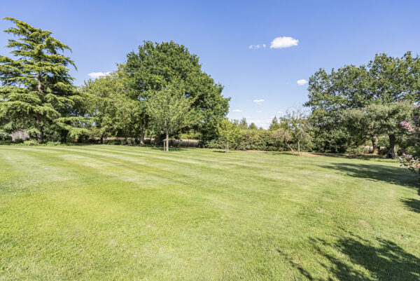 Hanging Wood, Standon, SG11