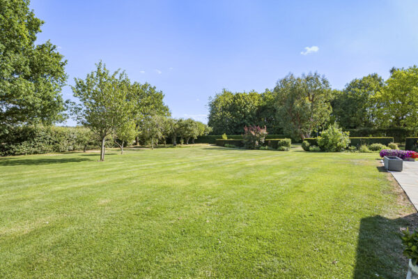 Hanging Wood, Standon, SG11