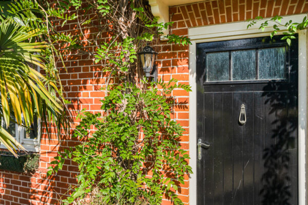 Willis Grove, Balls Park, SG13