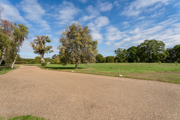 Willis Grove, Balls Park, SG13